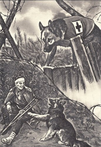 День фронтовой собаки