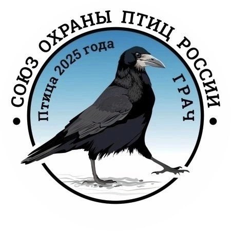 1 апреля – Международный день птиц. 